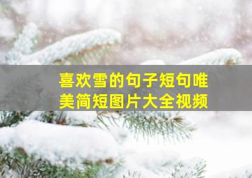 喜欢雪的句子短句唯美简短图片大全视频