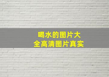 喝水的图片大全高清图片真实