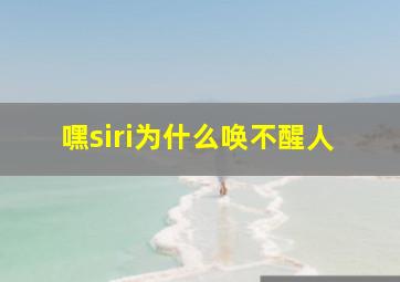 嘿siri为什么唤不醒人