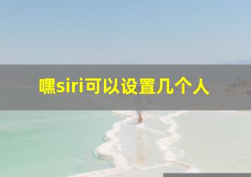 嘿siri可以设置几个人