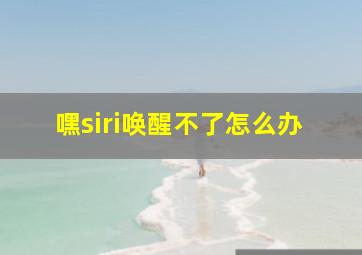 嘿siri唤醒不了怎么办