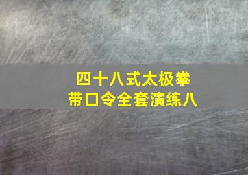 四十八式太极拳带口令全套演练八