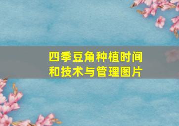 四季豆角种植时间和技术与管理图片