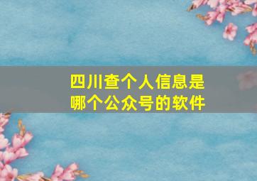 四川查个人信息是哪个公众号的软件