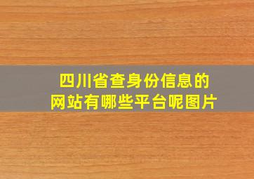 四川省查身份信息的网站有哪些平台呢图片