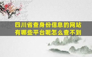 四川省查身份信息的网站有哪些平台呢怎么查不到