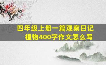 四年级上册一篇观察日记植物400字作文怎么写