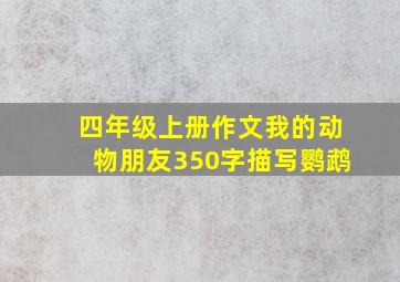 四年级上册作文我的动物朋友350字描写鹦鹉