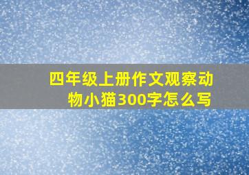 四年级上册作文观察动物小猫300字怎么写