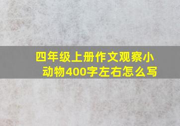 四年级上册作文观察小动物400字左右怎么写