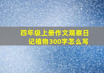 四年级上册作文观察日记植物300字怎么写