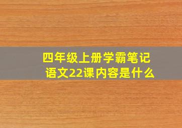 四年级上册学霸笔记语文22课内容是什么