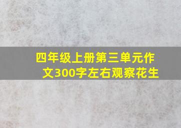 四年级上册第三单元作文300字左右观察花生