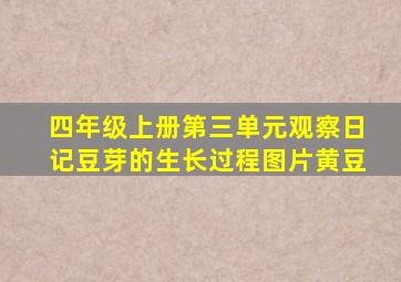 四年级上册第三单元观察日记豆芽的生长过程图片黄豆