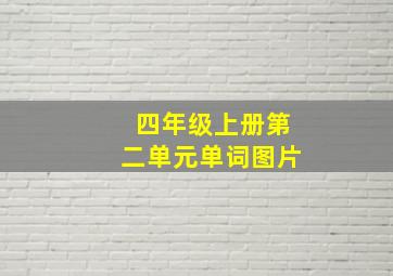 四年级上册第二单元单词图片