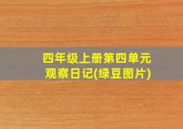 四年级上册第四单元观察日记(绿豆图片)