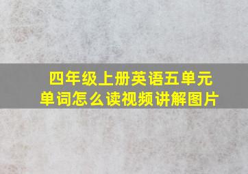 四年级上册英语五单元单词怎么读视频讲解图片