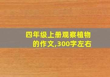 四年级上册观察植物的作文,300字左右