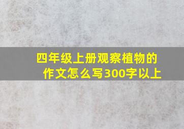 四年级上册观察植物的作文怎么写300字以上