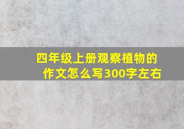 四年级上册观察植物的作文怎么写300字左右