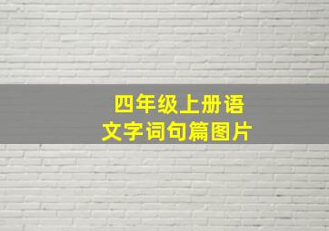 四年级上册语文字词句篇图片