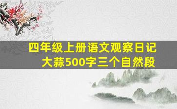 四年级上册语文观察日记大蒜500字三个自然段