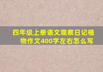 四年级上册语文观察日记植物作文400字左右怎么写