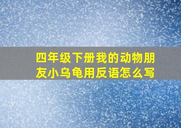 四年级下册我的动物朋友小乌龟用反语怎么写