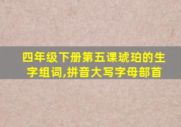 四年级下册第五课琥珀的生字组词,拼音大写字母部首