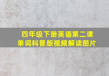 四年级下册英语第二课单词科普版视频解读图片