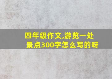 四年级作文,游览一处景点300字怎么写的呀