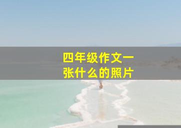 四年级作文一张什么的照片