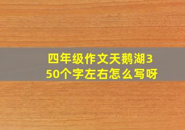 四年级作文天鹅湖350个字左右怎么写呀