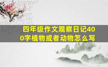 四年级作文观察日记400字植物或者动物怎么写