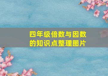 四年级倍数与因数的知识点整理图片