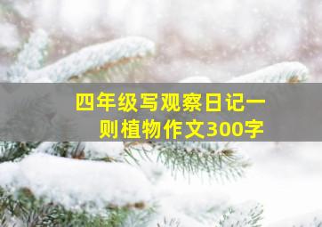 四年级写观察日记一则植物作文300字