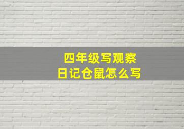 四年级写观察日记仓鼠怎么写