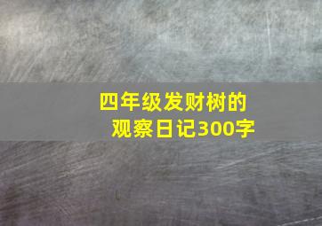 四年级发财树的观察日记300字