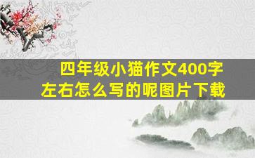 四年级小猫作文400字左右怎么写的呢图片下载