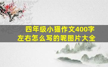 四年级小猫作文400字左右怎么写的呢图片大全