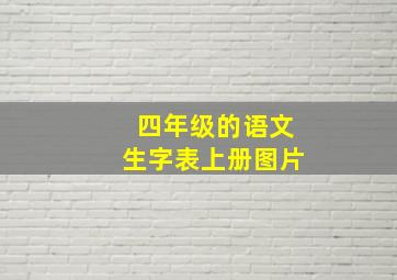 四年级的语文生字表上册图片