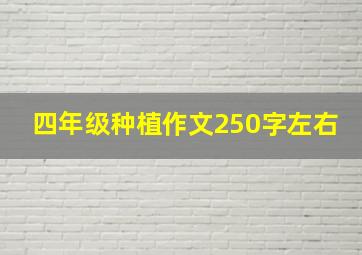 四年级种植作文250字左右