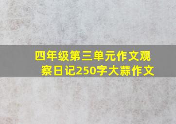 四年级第三单元作文观察日记250字大蒜作文