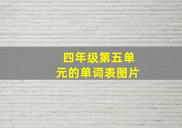 四年级第五单元的单词表图片