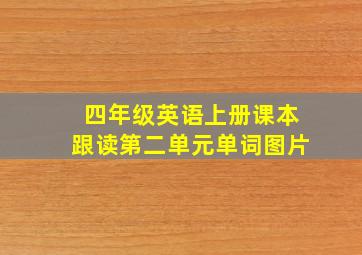 四年级英语上册课本跟读第二单元单词图片