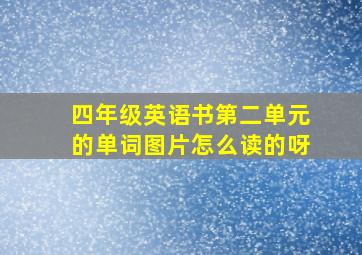 四年级英语书第二单元的单词图片怎么读的呀