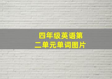 四年级英语第二单元单词图片