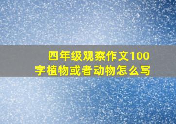 四年级观察作文100字植物或者动物怎么写