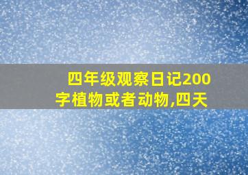 四年级观察日记200字植物或者动物,四天