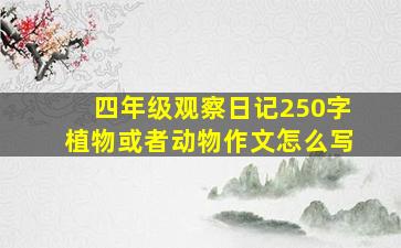 四年级观察日记250字植物或者动物作文怎么写